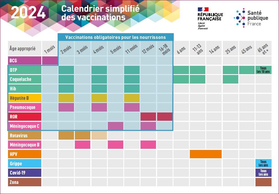 calendrier simplifié des vaccinations 2024